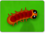 Garden Bug